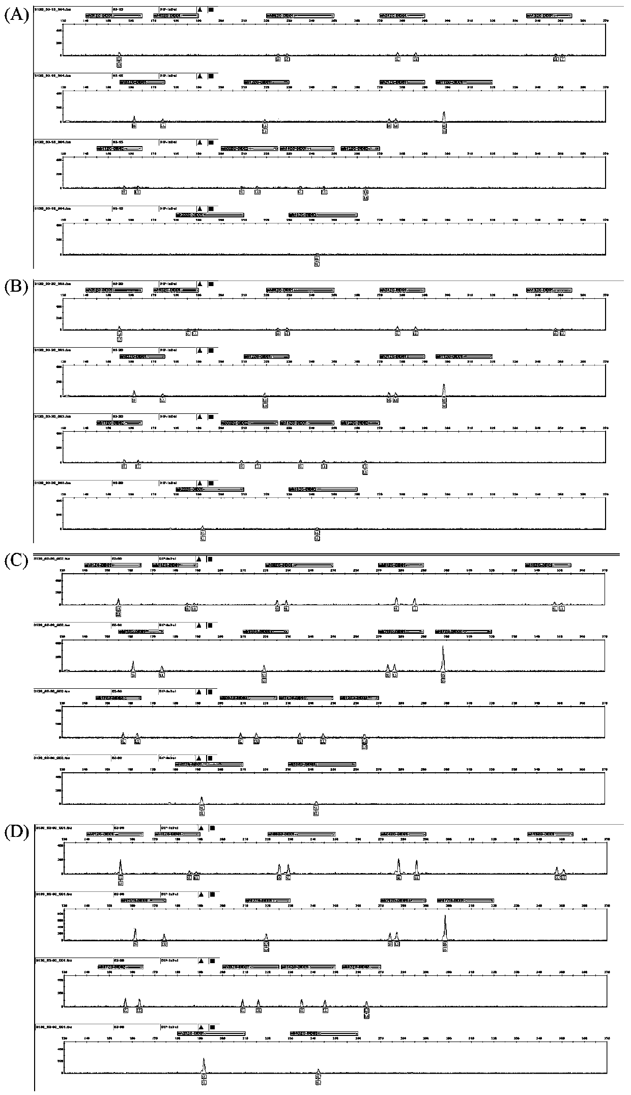 Human DIP-InDel locus fluorescent labeling kit and detection method thereof