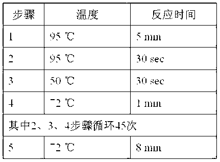 Gene chip for identifying capripoxvirus virus and detection method of same