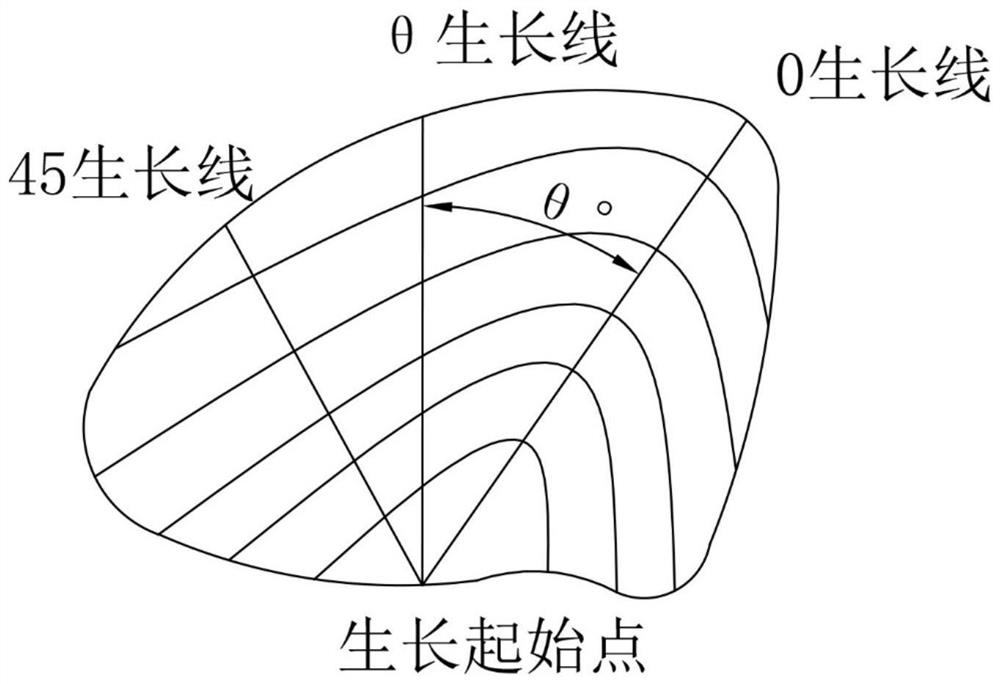 A kind of preparation method of bivalve shell scanning electron microscope sample