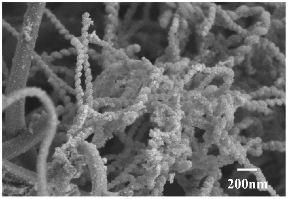 Carbon-tin nano composite material as well as preparation method and application thereof