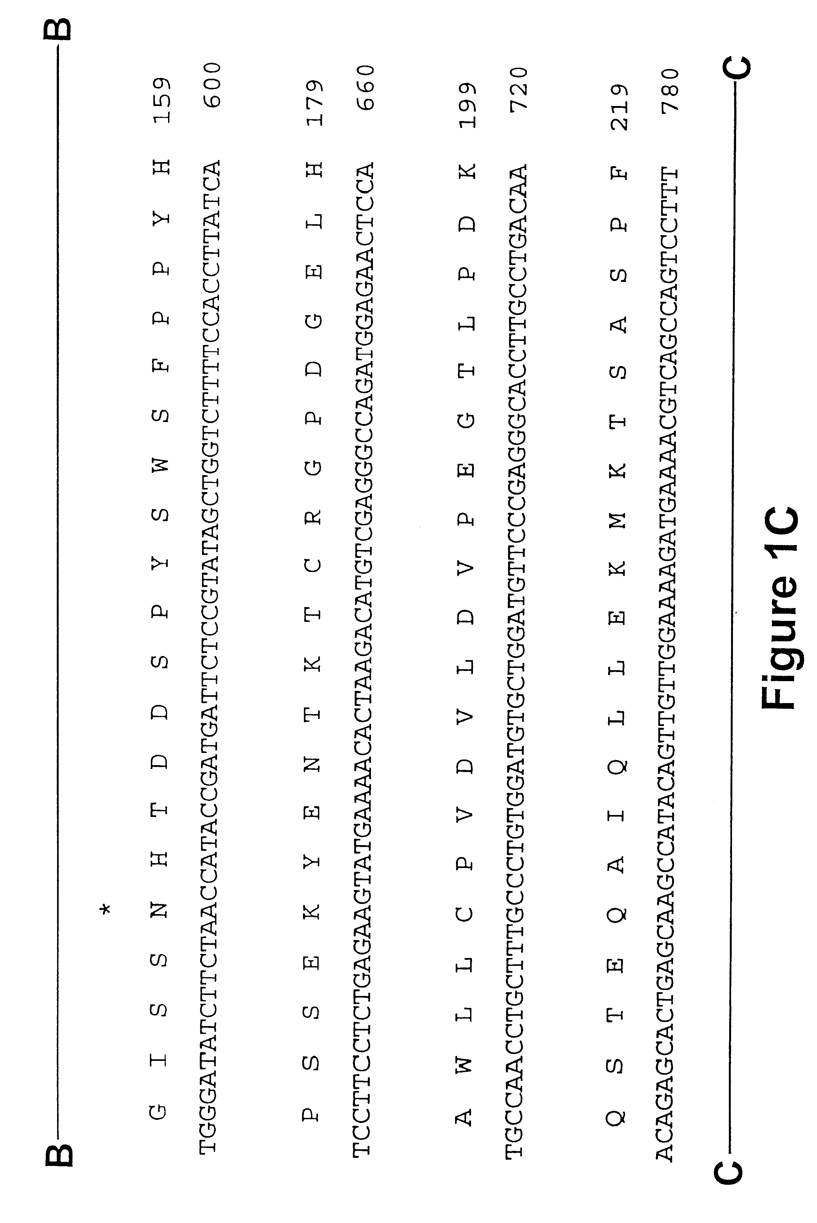 Glycosylation variants of iduronate 2-sulfatase