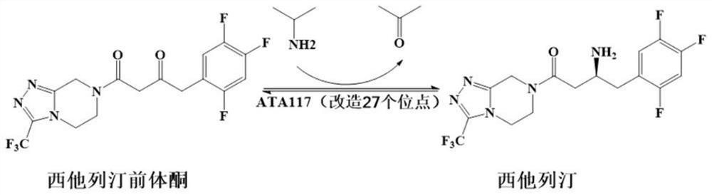 Recombinant r-type transaminase, mutant and application thereof