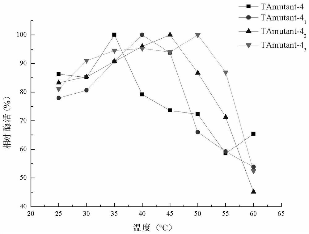 Recombinant r-type transaminase, mutant and application thereof