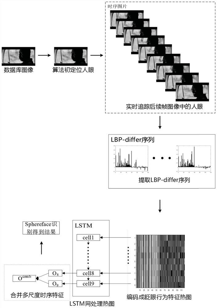 A real-time blink detection method based on multi-scale time-series images