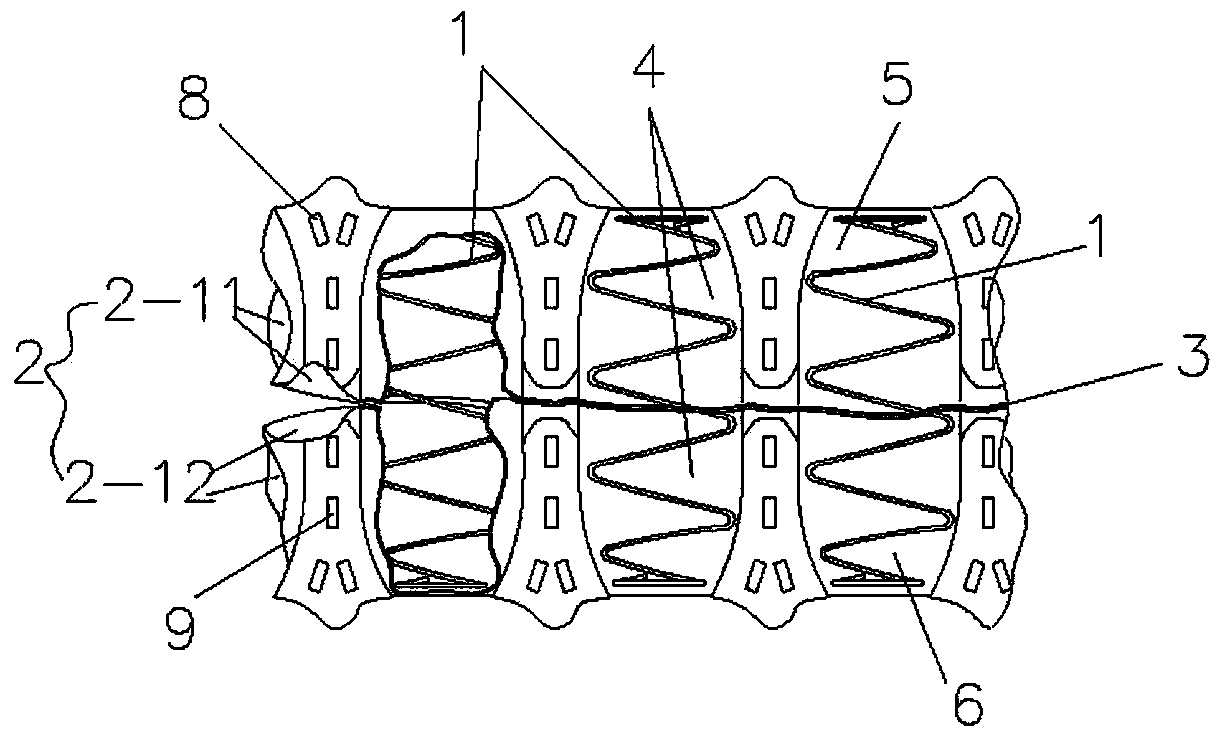 Integral covered bagged spring cushion