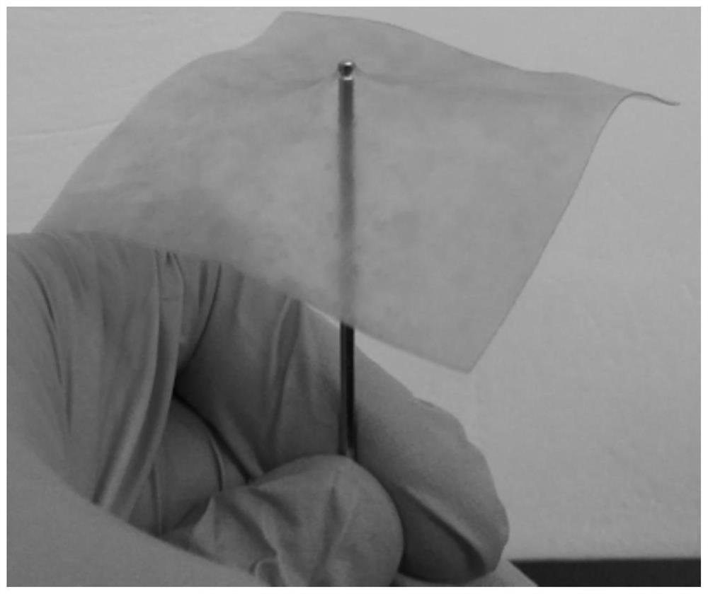 Application of a polyester amide as a high temperature resistant heat shrinkable film