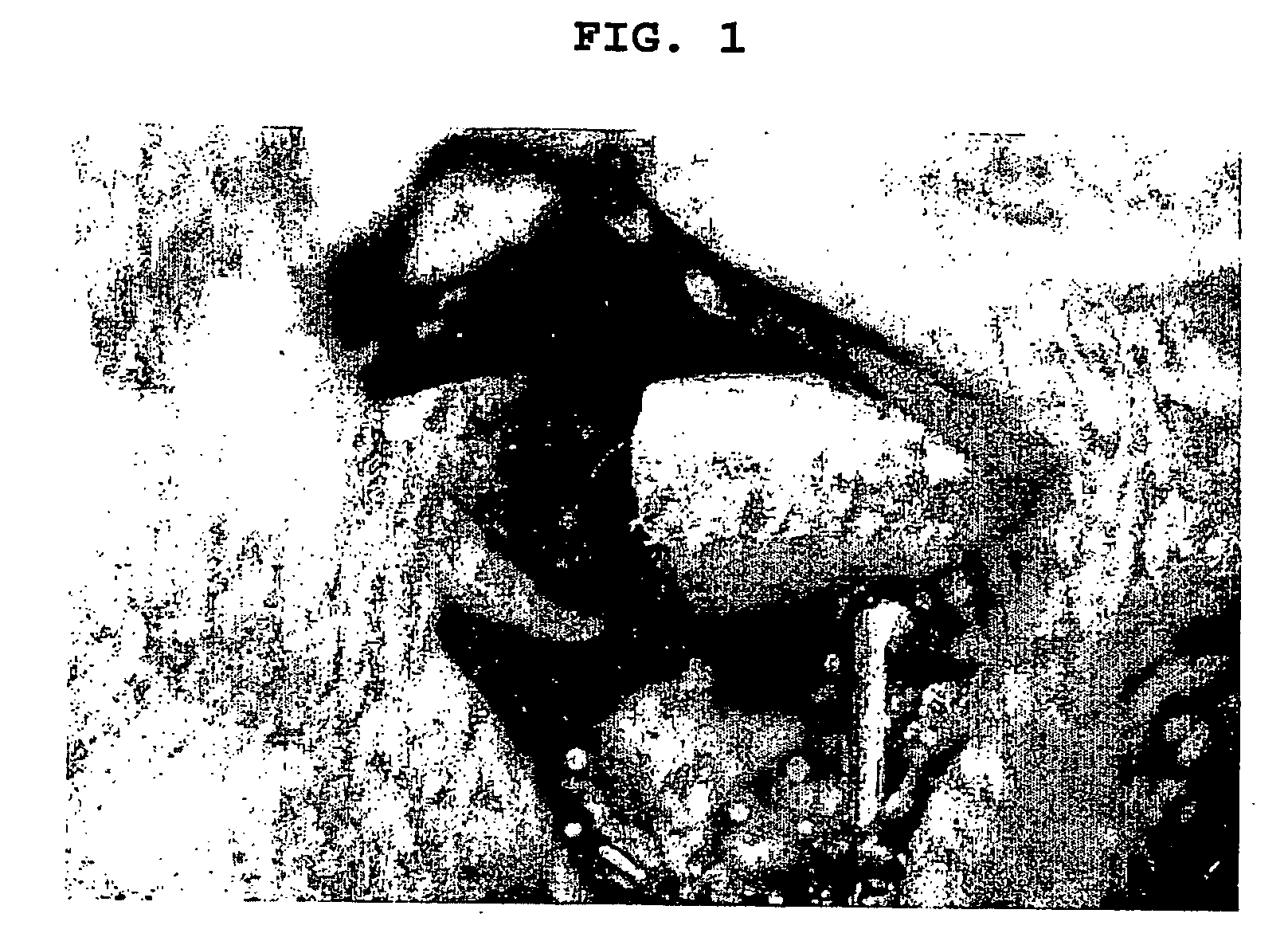 Composition for stimulating bone-formation and bone consolidation