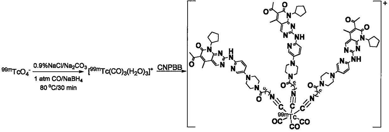 99mTc(CO)3 nucleus-labeled isonitrile-containing palbociclib derivative and preparation method and application thereof