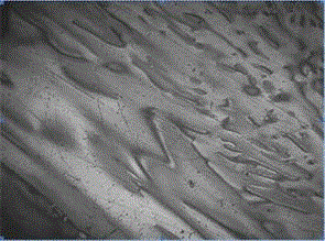 Process for producing negative electrode material coke by taking supercritical extraction oil slurry as raw material and application of process