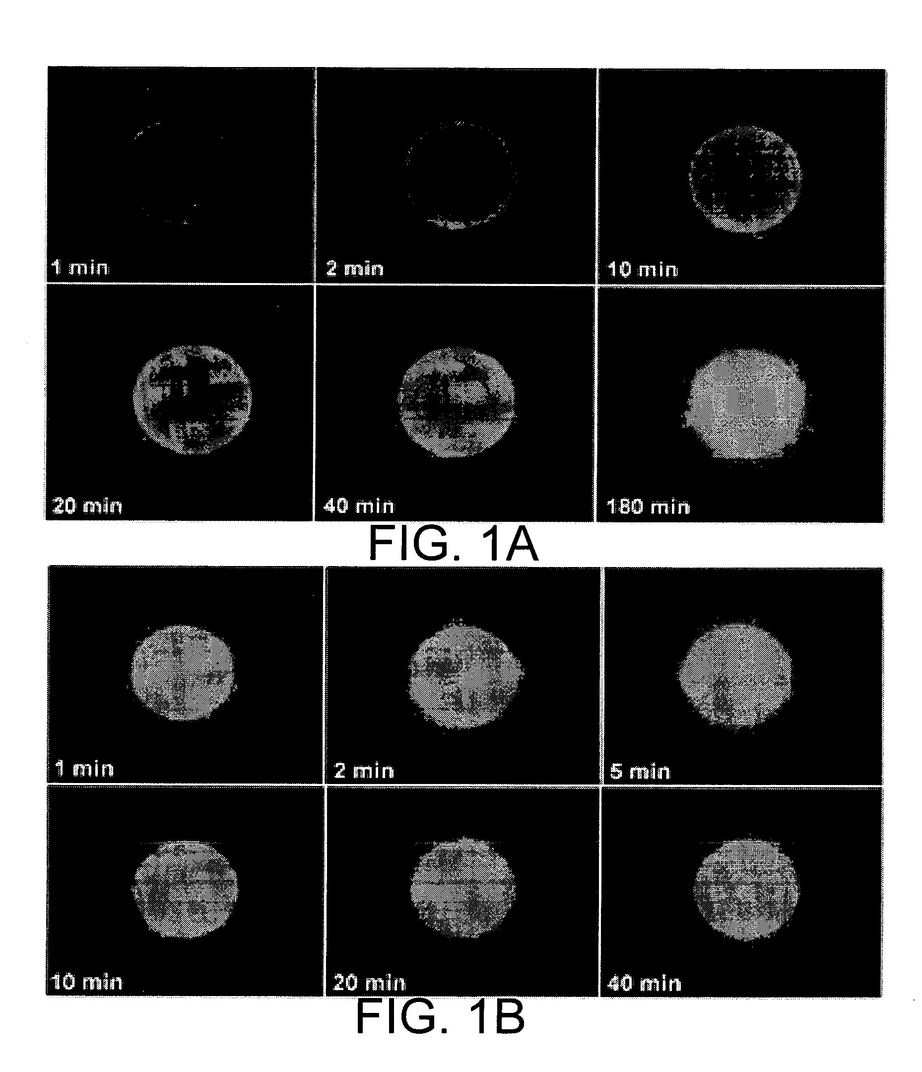 Porous materials embedded with nanospecies, methods of fabrication thereof, and methods of use thereof