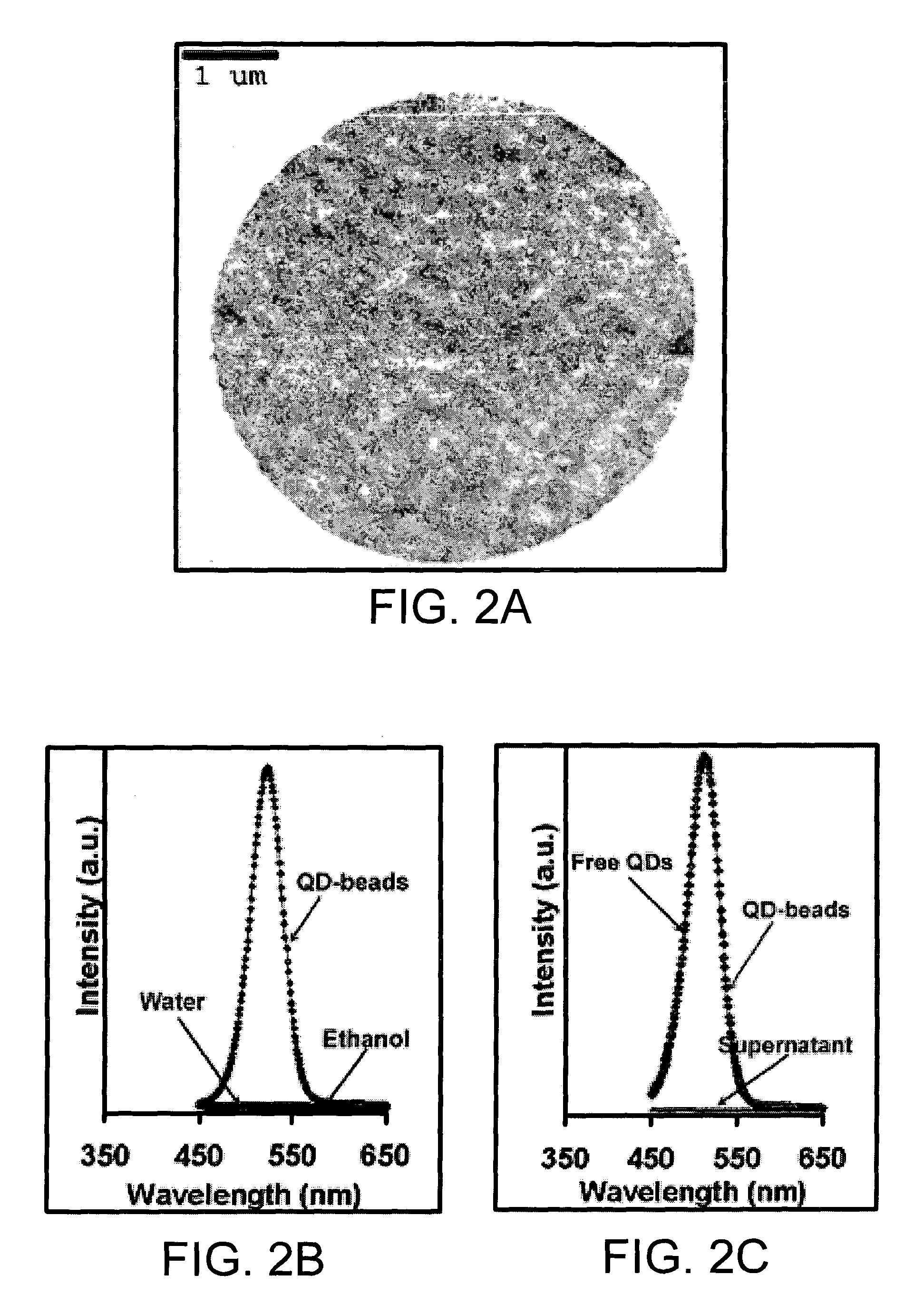 Porous materials embedded with nanospecies, methods of fabrication thereof, and methods of use thereof