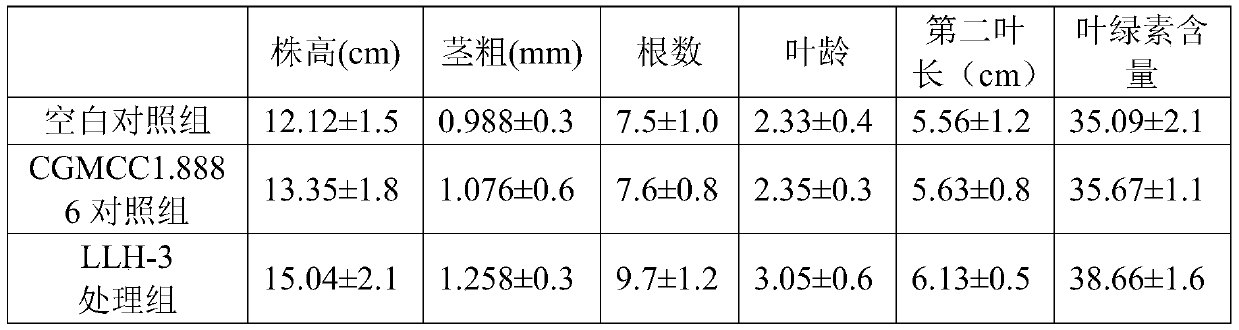 Bacillus subtilis and application thereof in agricultural production