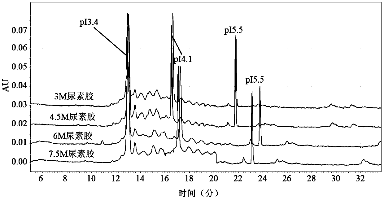 An improved method for measuring the isoelectric point of recombinant protein by capillary isoelectric focusing