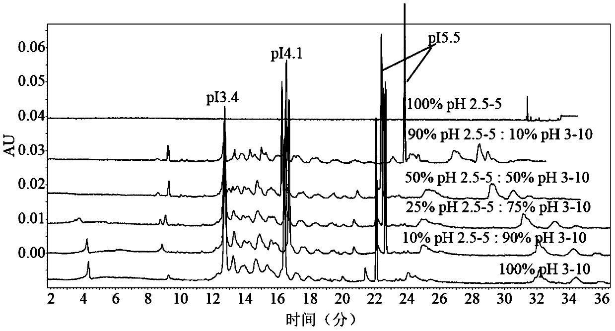 An improved method for measuring the isoelectric point of recombinant protein by capillary isoelectric focusing