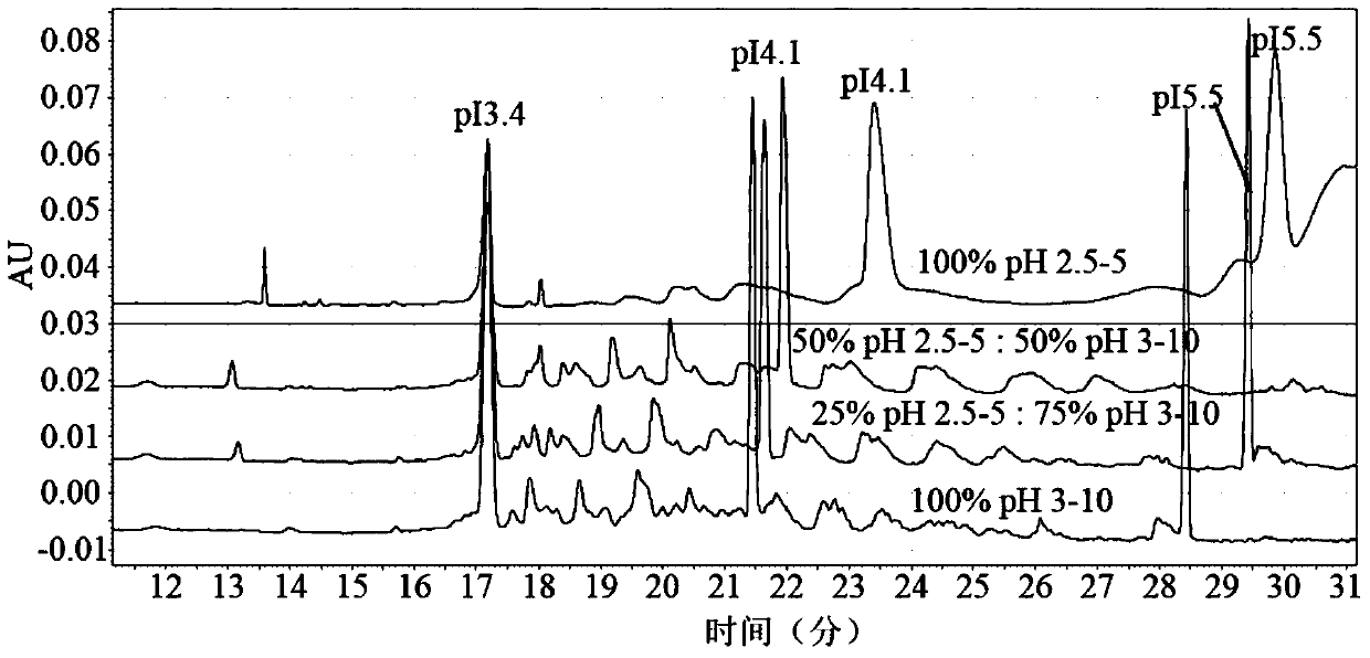 An improved method for measuring the isoelectric point of recombinant protein by capillary isoelectric focusing