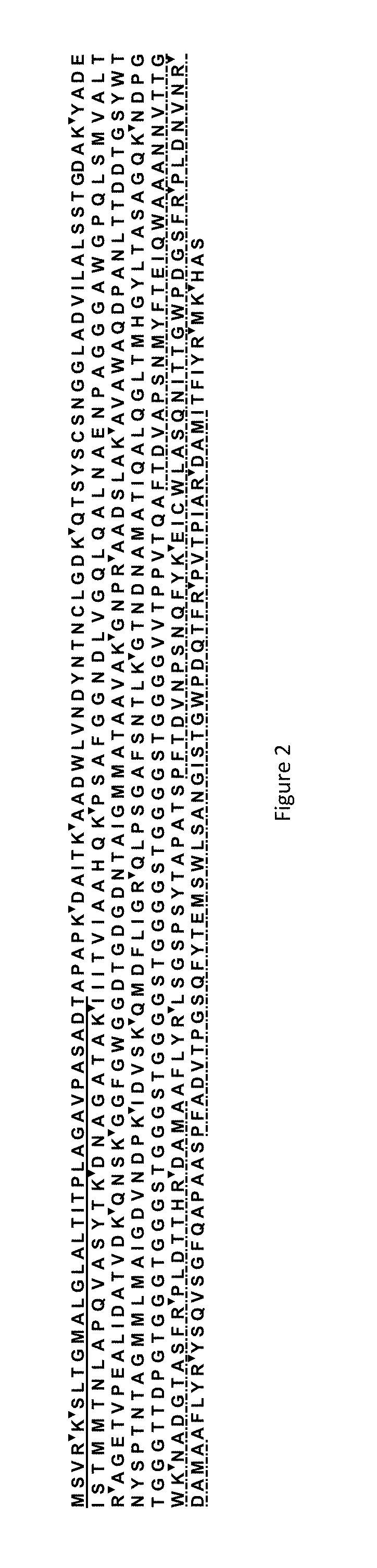 Anti-inflammatory properties of a surface protein of propionibacterium freudenreichii