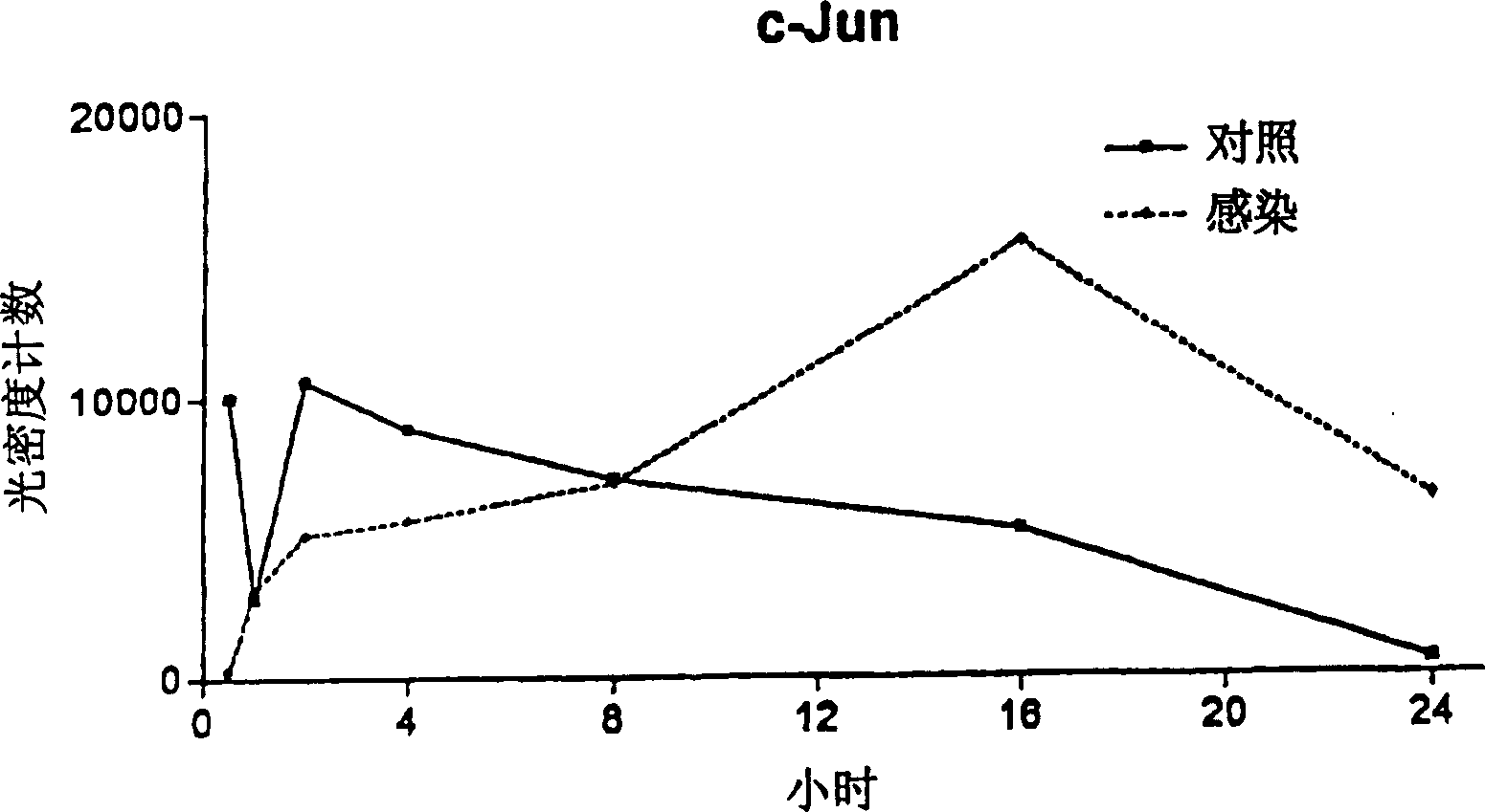 A method for treating viral diseases and other disorders by altering immediate gene expression through administration of peptide T