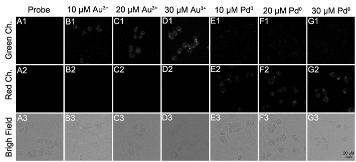 Synthesis and application of fluorescent probe for simultaneously distinguishing gold ions and palladium species