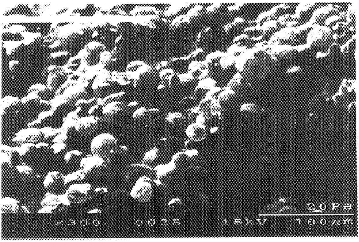 Expansion of polymeric microspheres insitu in a rigid PUR/PIR foam formulation using a twin screw extruder