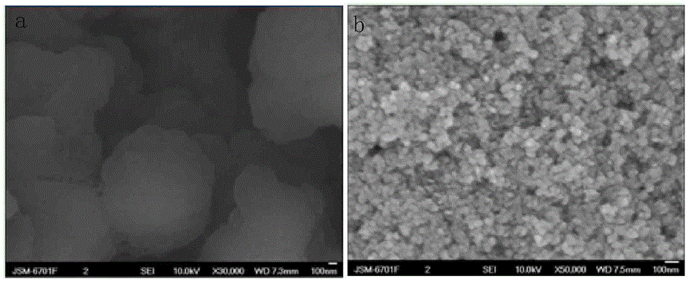 Preparation method of magnetic carbon nanocomposite