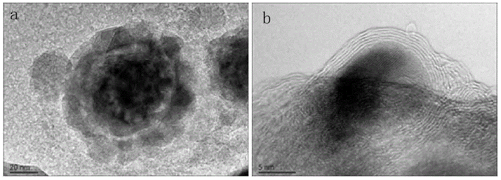 Preparation method of magnetic carbon nanocomposite