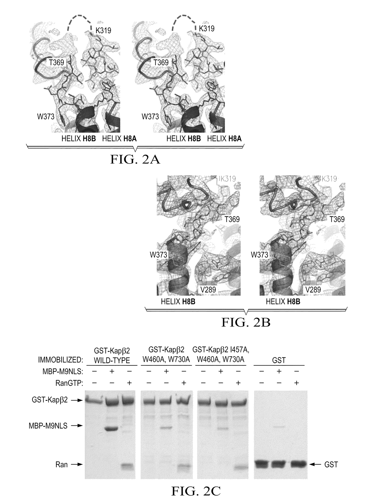 Methods and compositions for targeting macromolecules into the nucleus