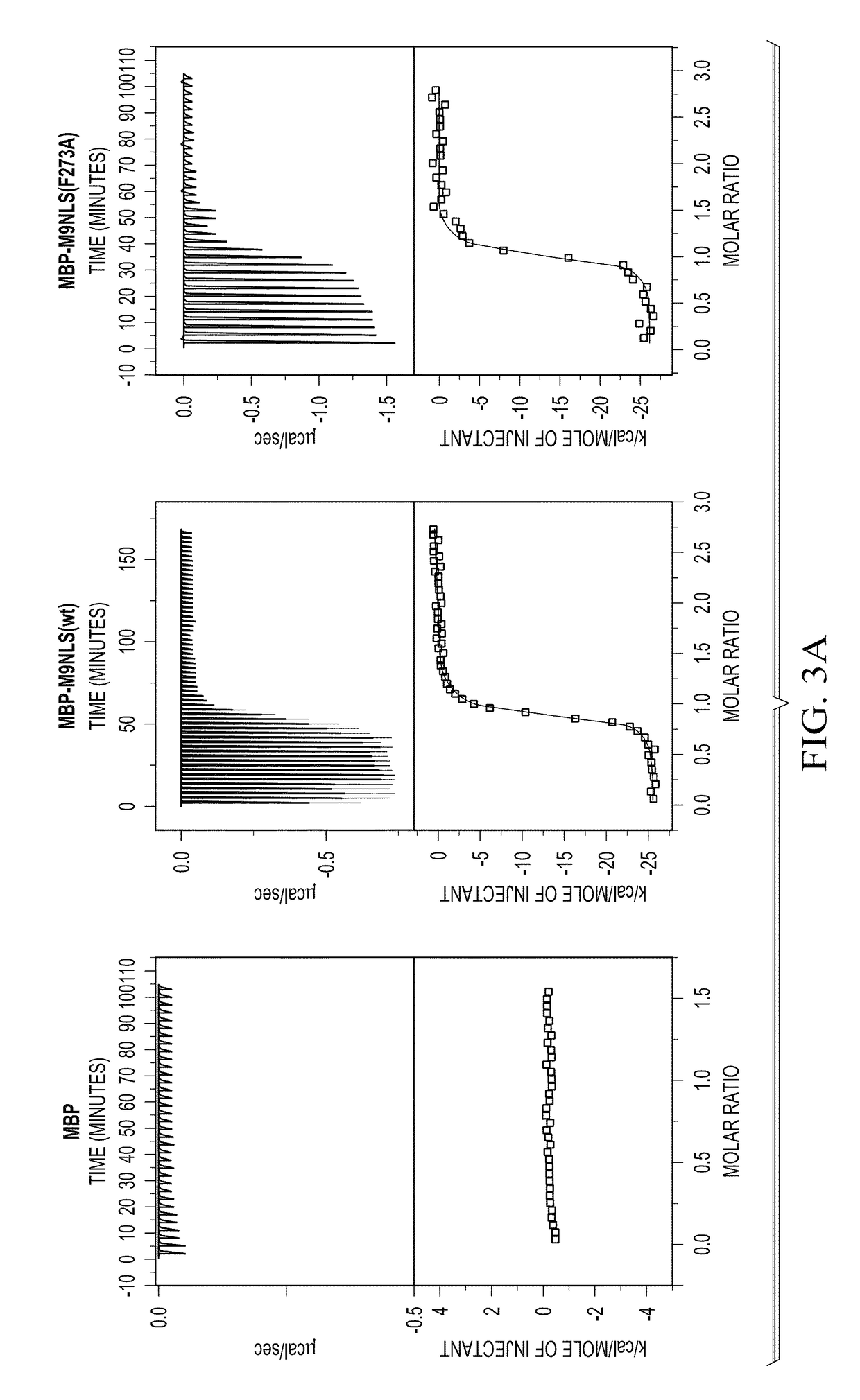 Methods and compositions for targeting macromolecules into the nucleus