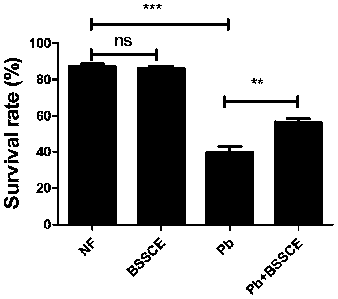 New application of black bean peel anthocyanin extract to antagonism of organism damage caused by lead exposure