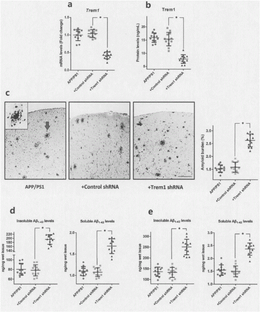 Diagnosis and treatment of Alzheimer disease