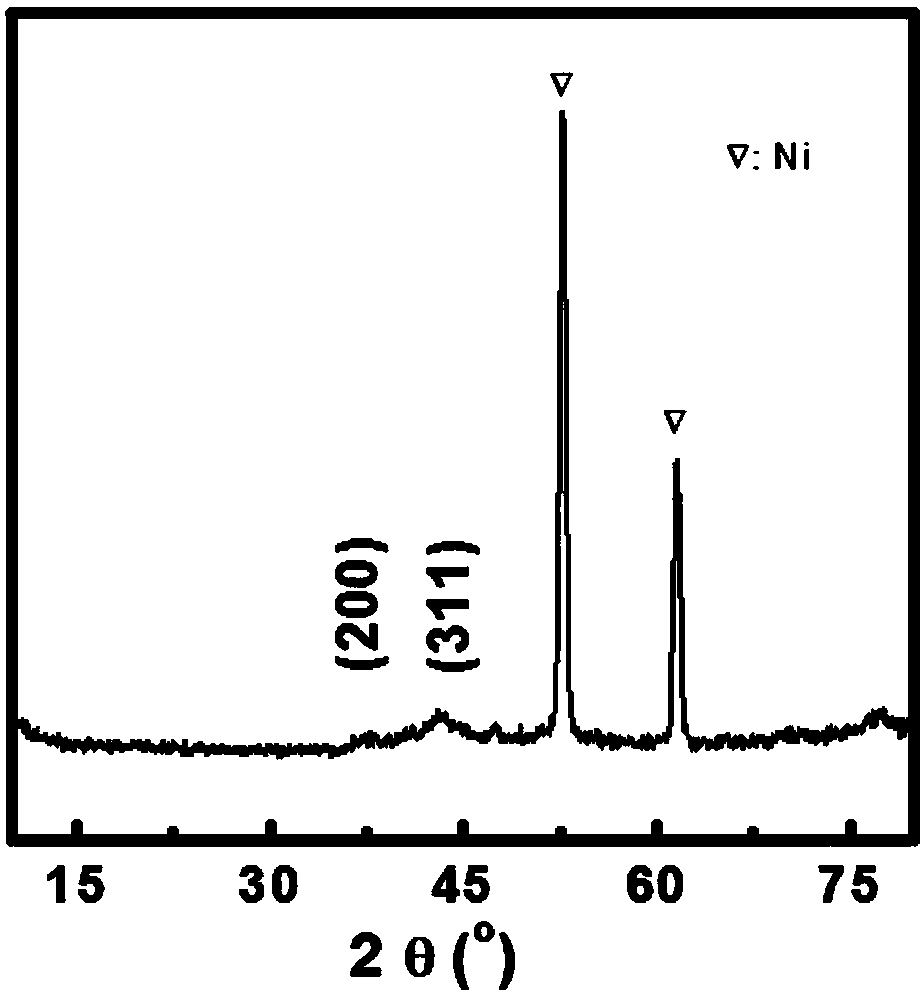 Nitrogen-doped nickel cobalt oxide nanowire array and preparation method thereof