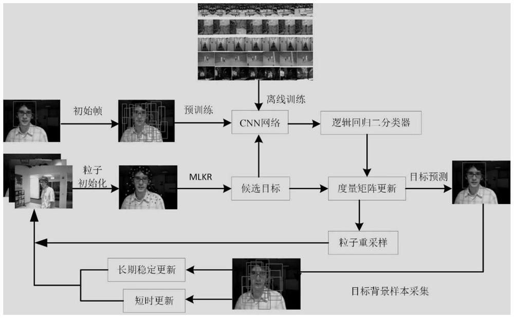 Video target tracking method combining particle filtering and metric learning