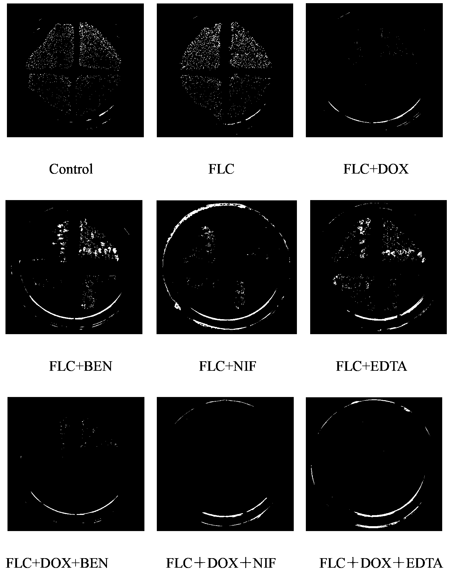 Application of combination of tetracycline medicine and fluconazole in preparation of antifungal product, and product thereof