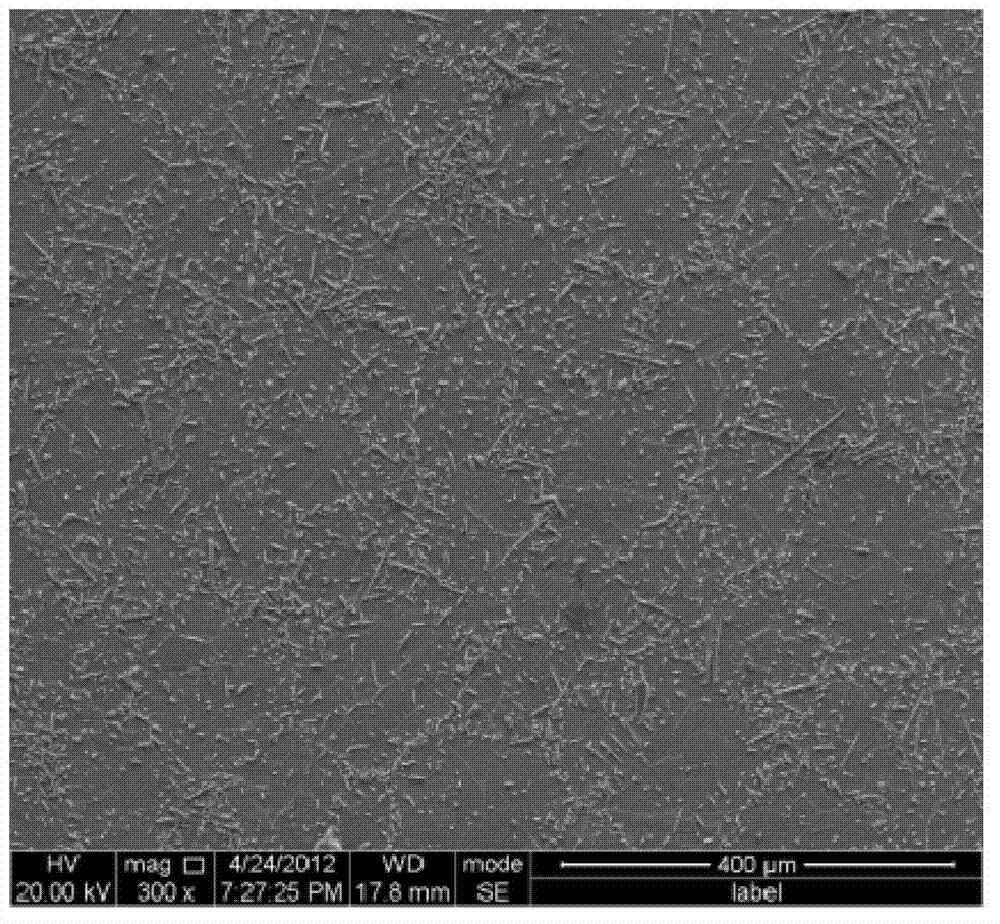 Preparation method of TiAl-based laminar composite material plate