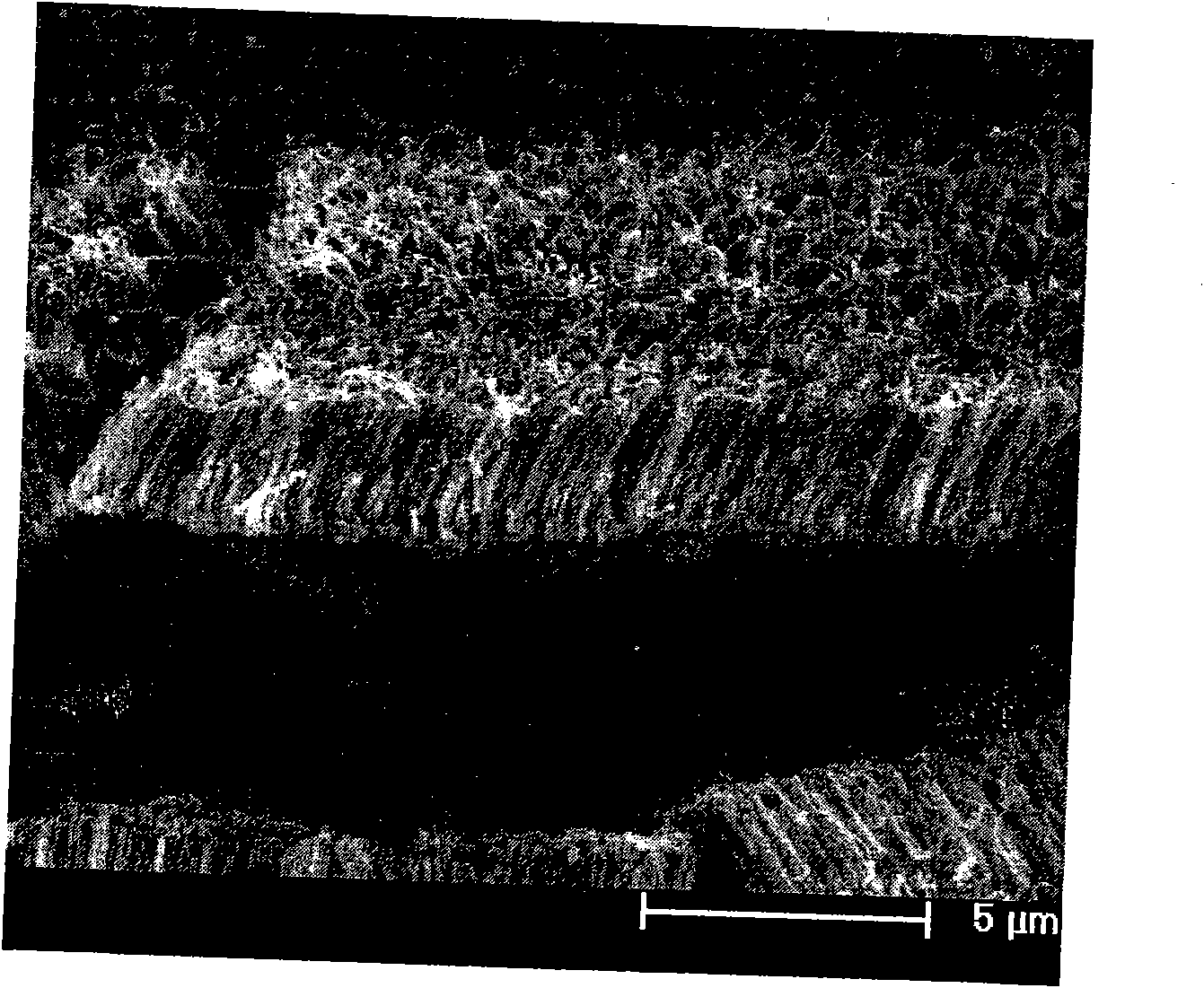 Manufacturing method of carbon nanotube gas sensor based on corona discharge