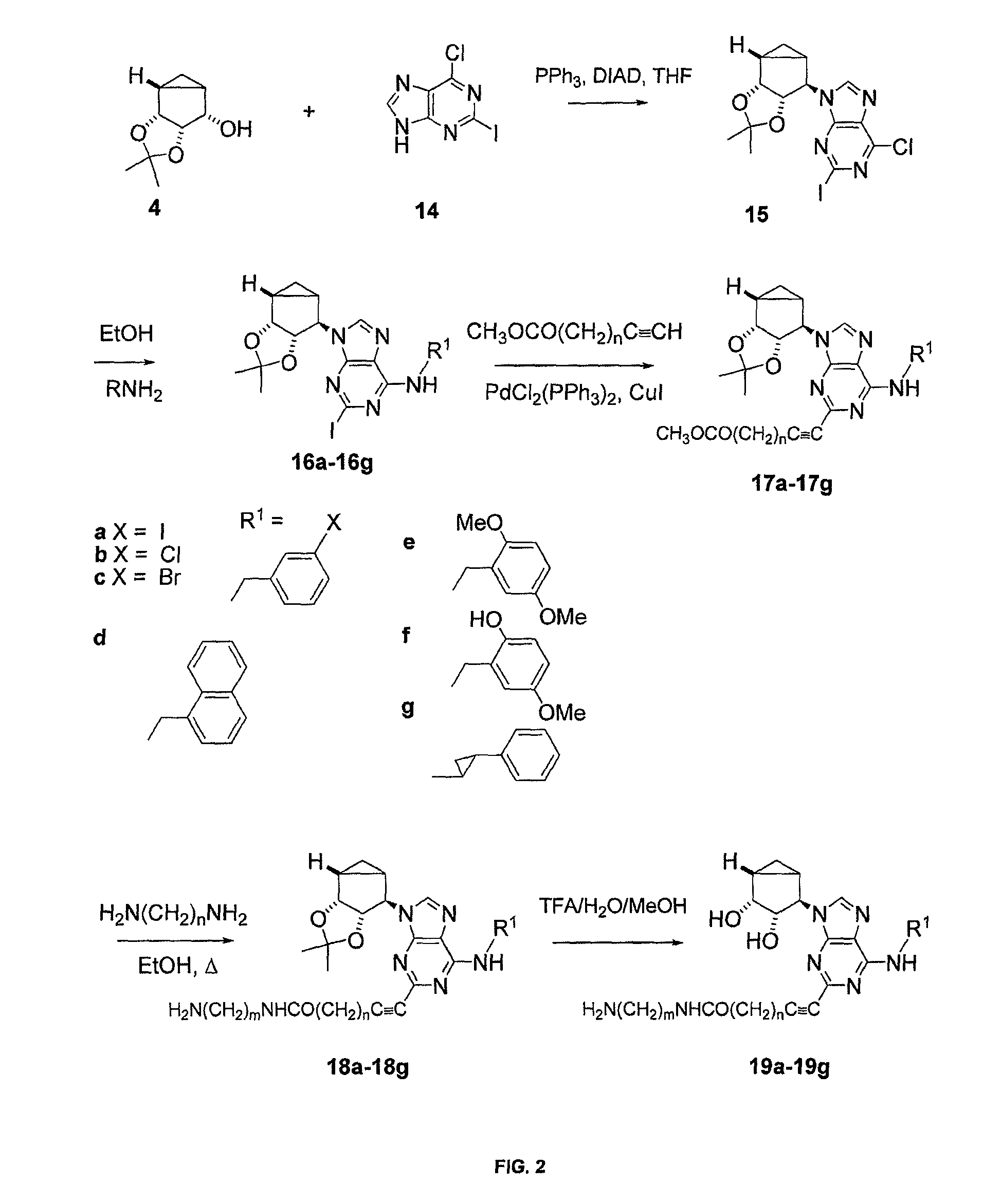 A.sub.3 adenosine receptor antagonists and partial agonists