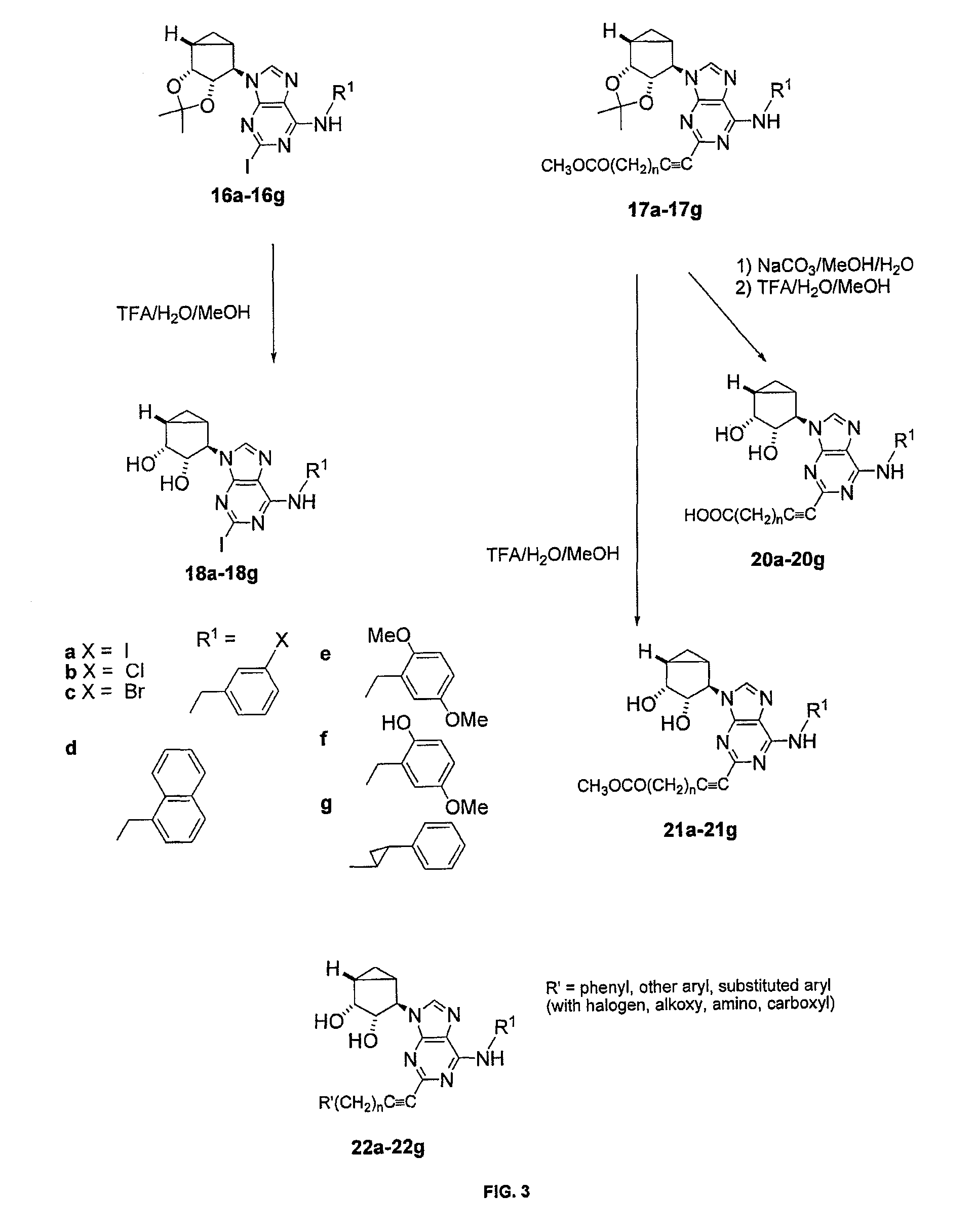 A.sub.3 adenosine receptor antagonists and partial agonists