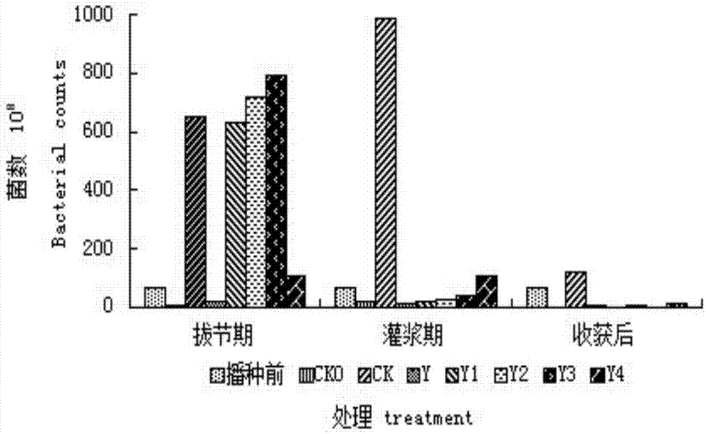 Activator for soil phosphorus, and preparation method and application thereof