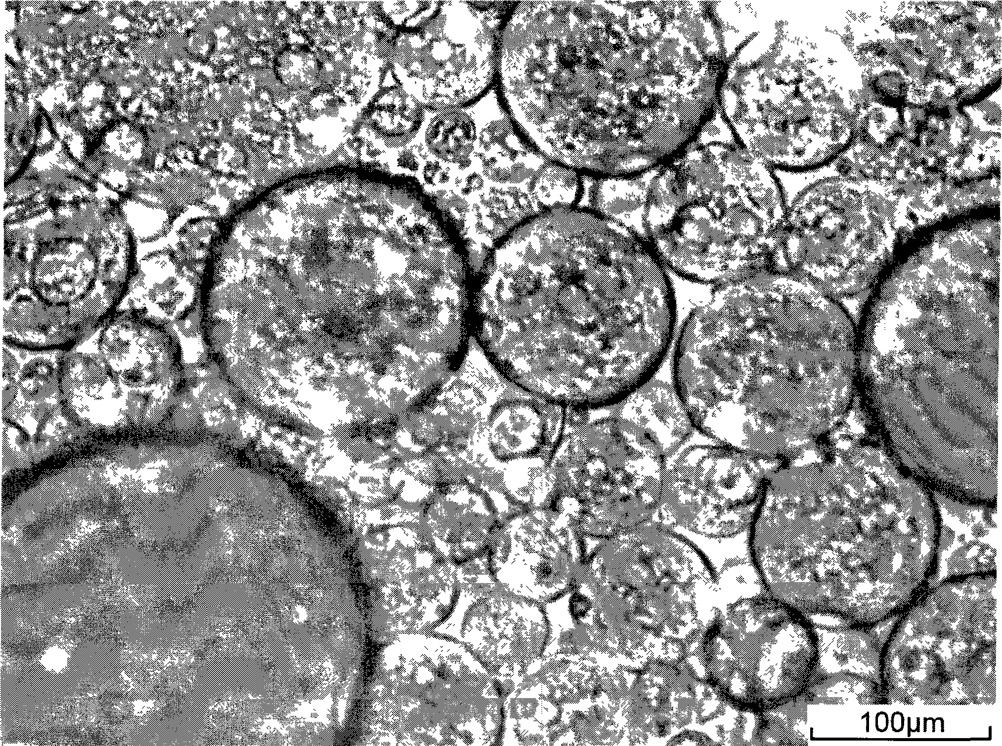 Microcapsule preparation method