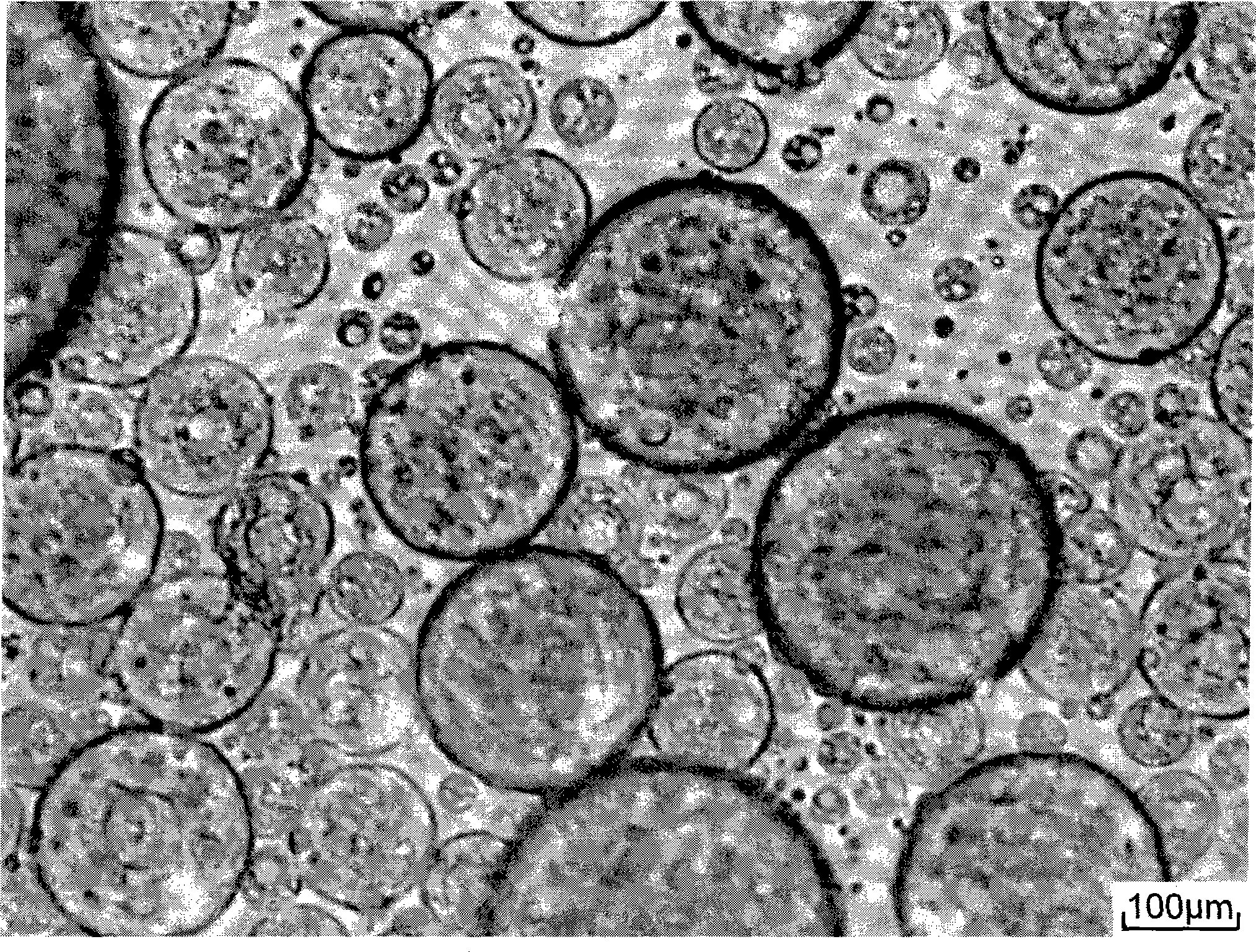 Microcapsule preparation method