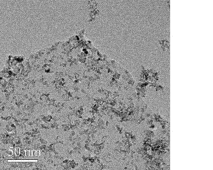 Nano-nickel oxide/graphene composite material and preparation method thereof