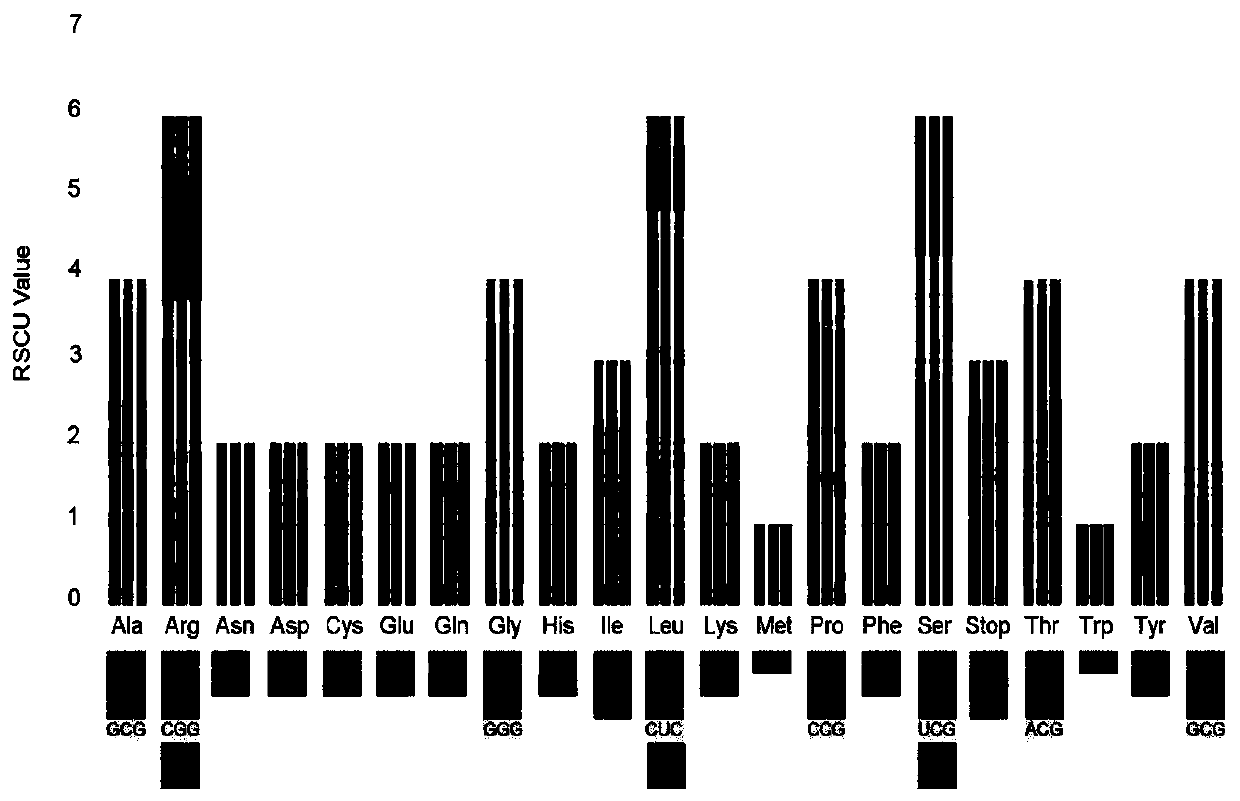 Primer for identifying rhizoma atractylodis medicinal species by using chloroplast genes, and applications thereof