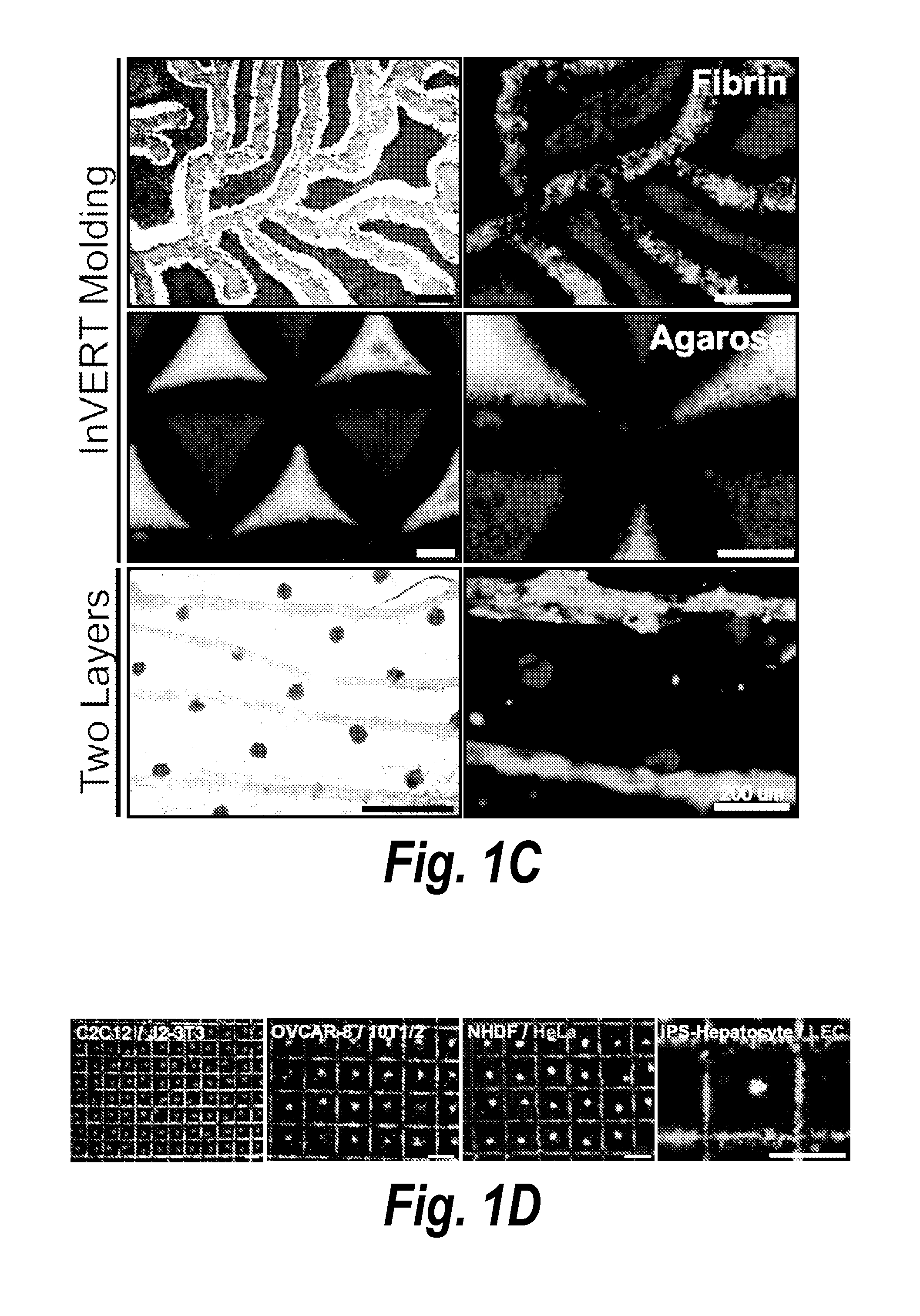 Inverse patterning process for three-dimensional multi-compartmental micro-organization of multiple cell types