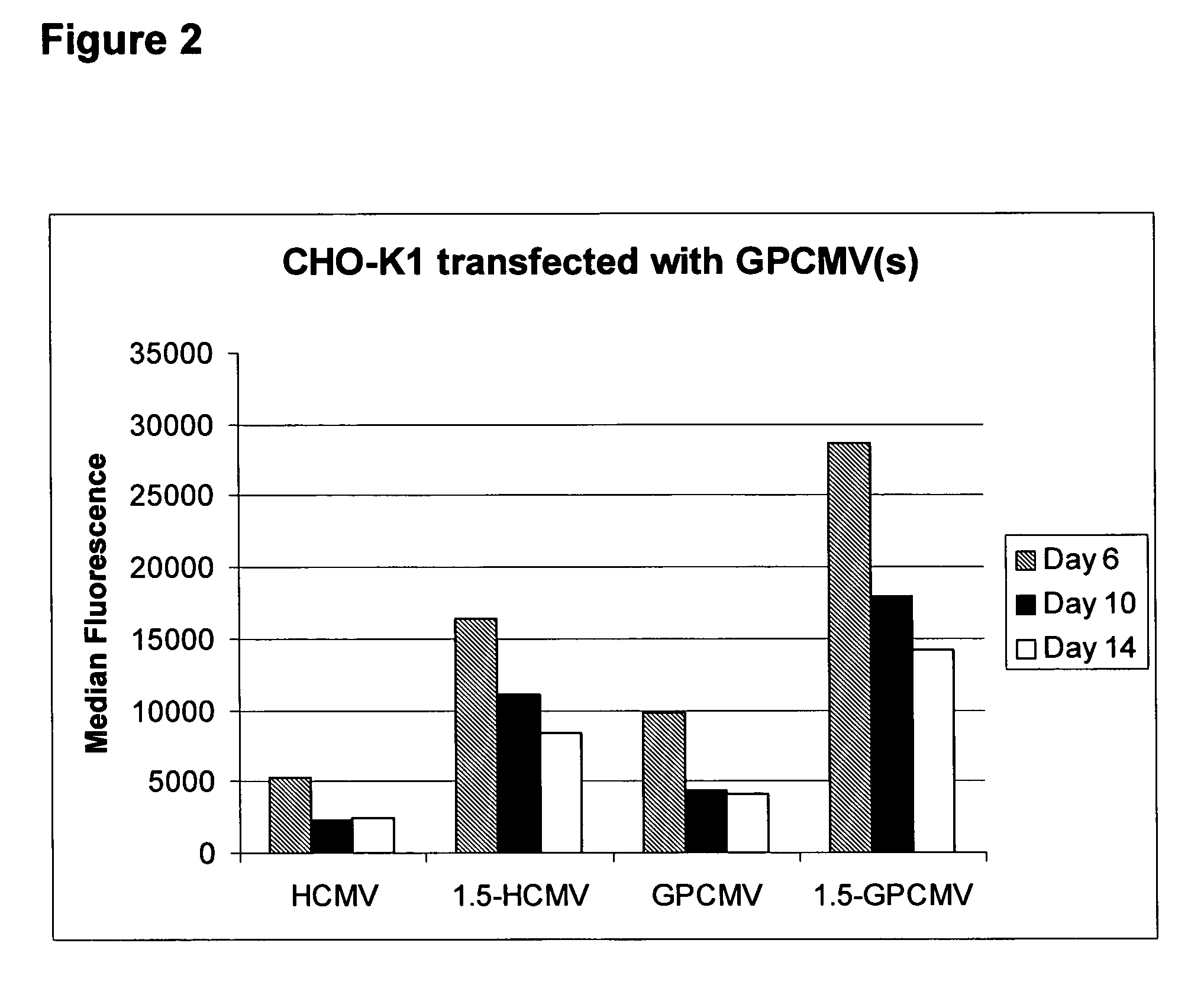 Vectors comprising guinea pig CMV regulatory elements