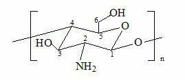 Branching polyamino chitosan derivative and preparation method thereof