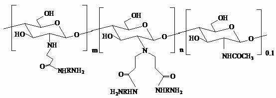 Branching polyamino chitosan derivative and preparation method thereof