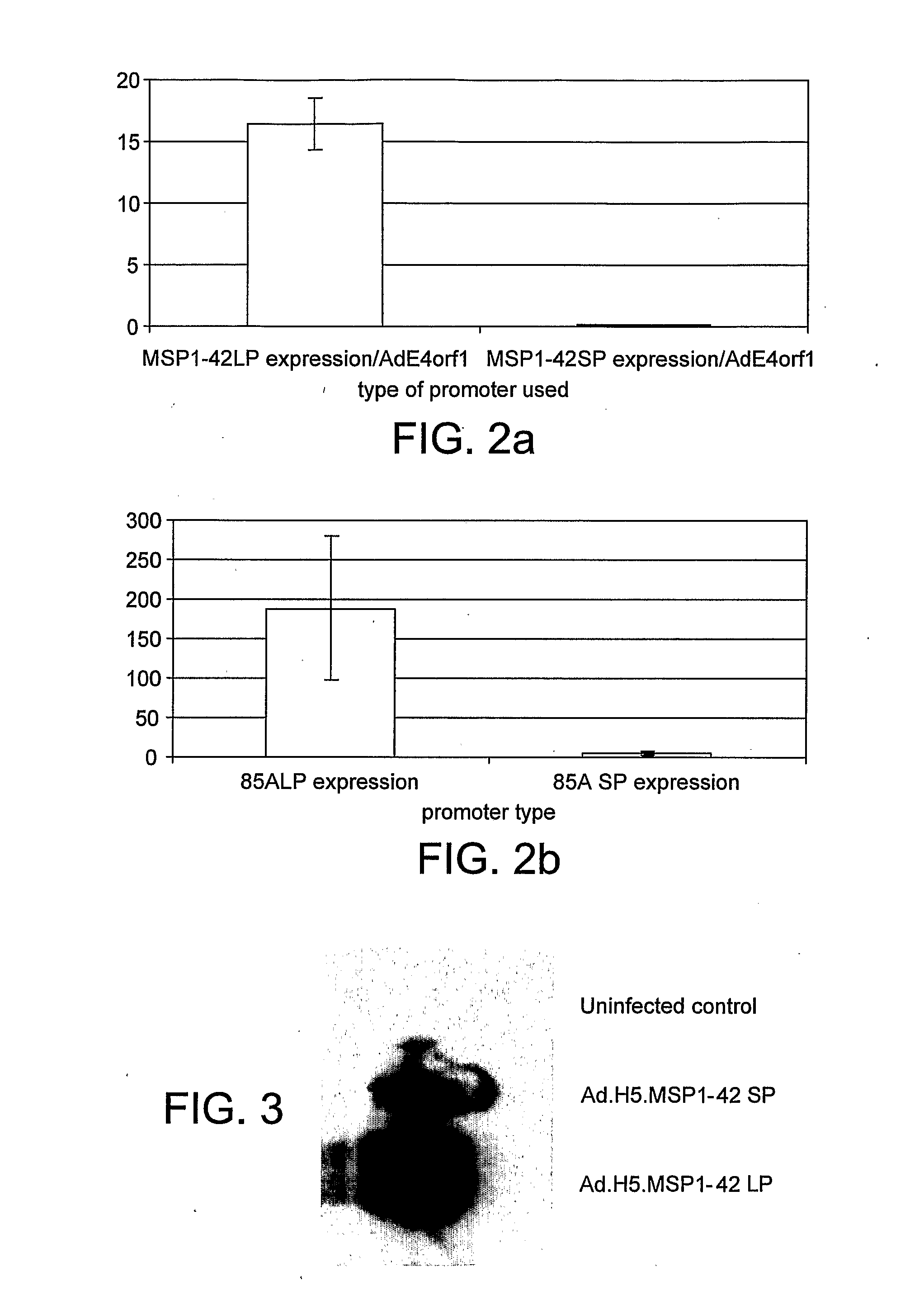 Novel Adenovirus Vectors