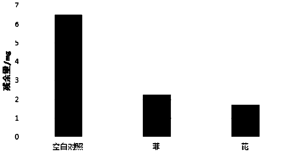 Petroleum hydrocarbon degradation bacterium and culturing, screening and applying method thereof