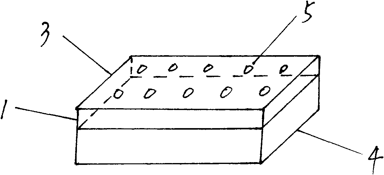 Gluing teeth cleaning block