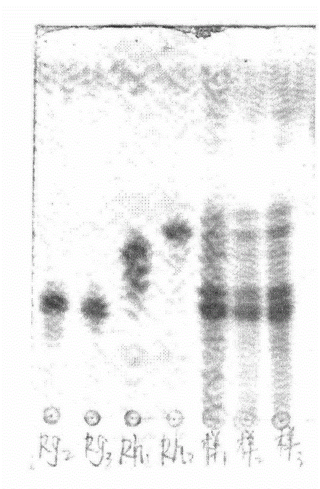 Compound American ginseng sublingual tablet and preparation method thereof