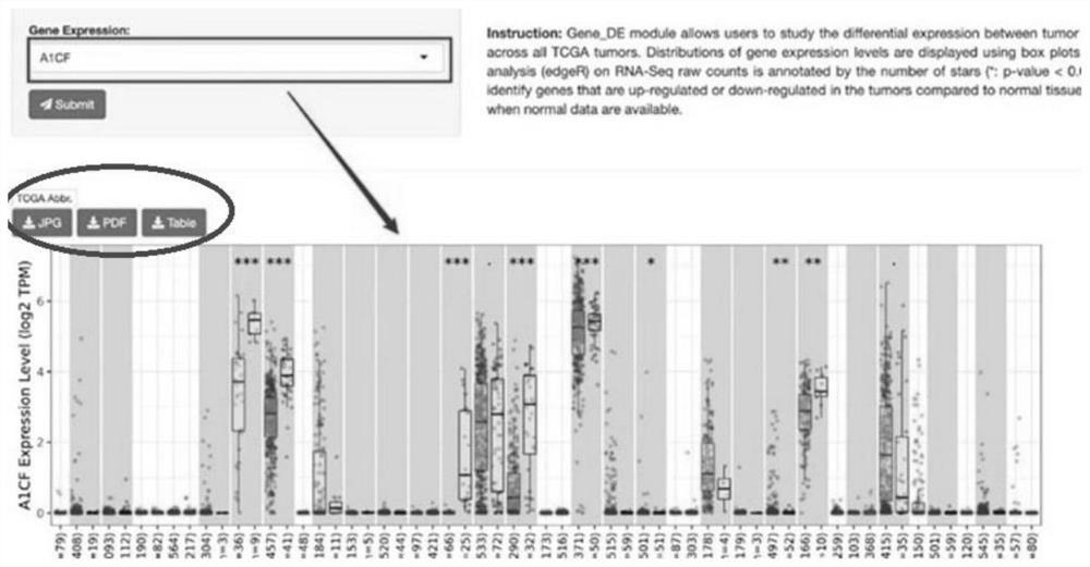 Method for predicting tumor treatment prognosis by establishing inflammatory cell infiltration model based on radiomics